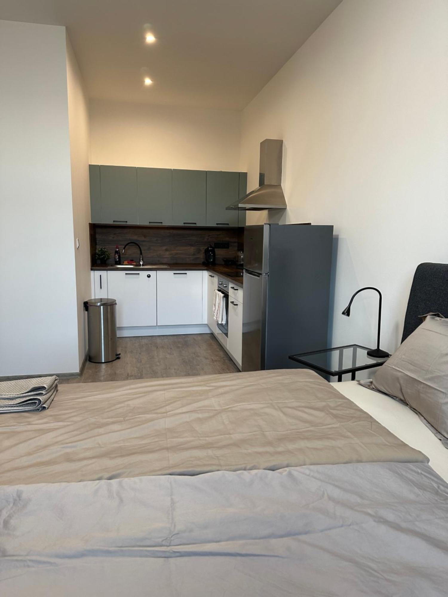 Apartman Palackeho Tábor Kültér fotó